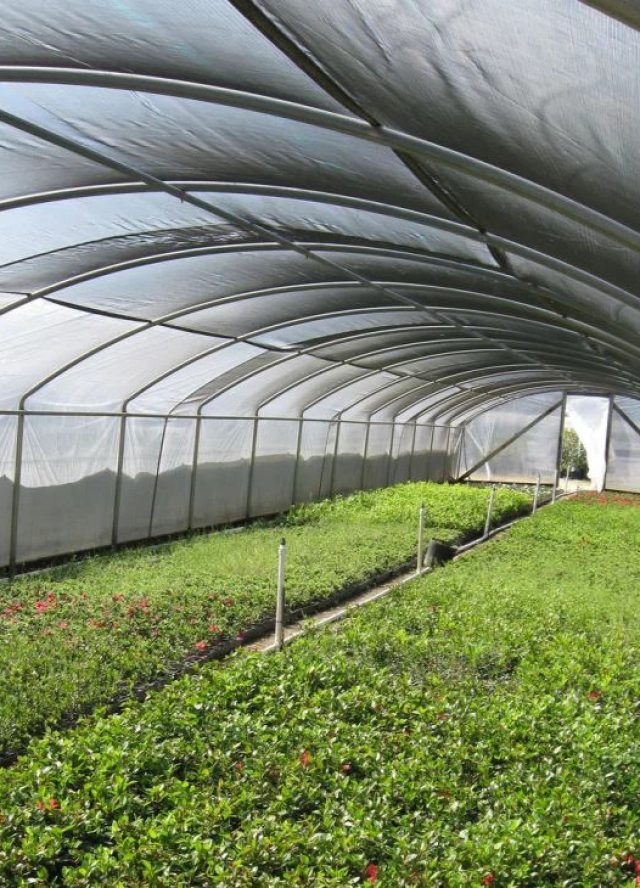 agriculture-shade-screening-net30415774745